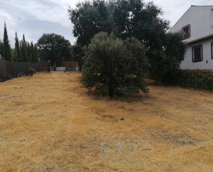 Residential for sale in Alcolea