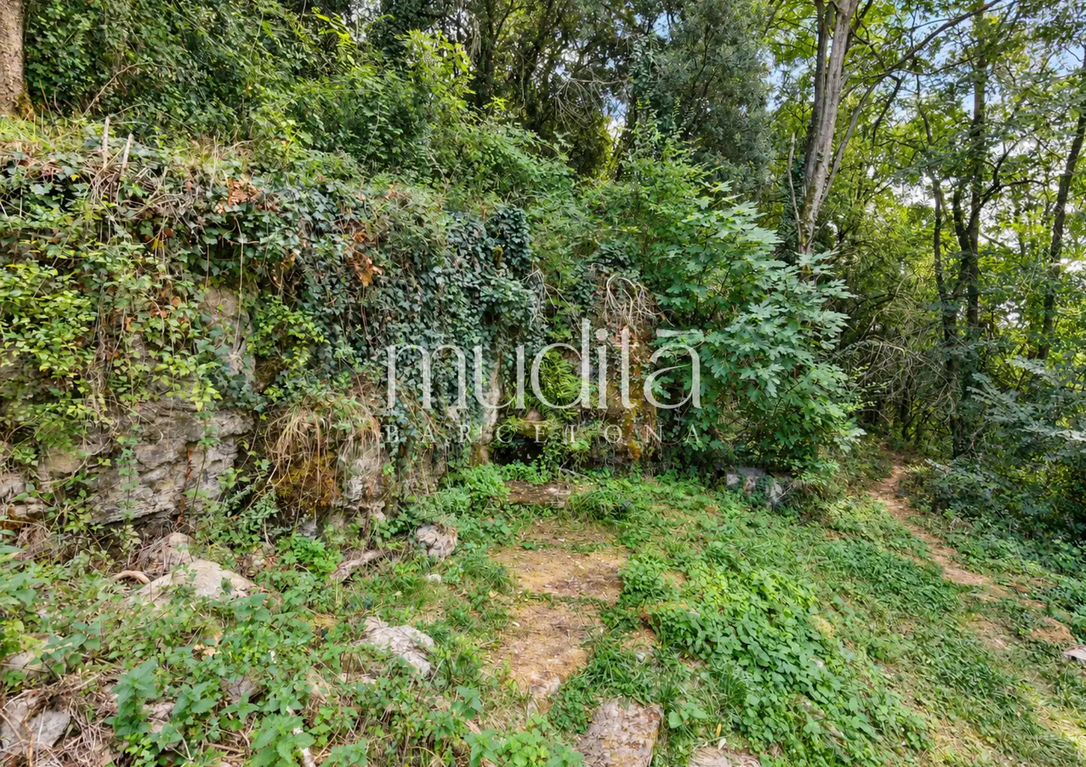 Casa rústica en venda a Tavertet, imagen 49