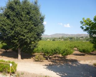 Vista exterior de Finca rústica en venda en Ontinyent amb Piscina i Balcó