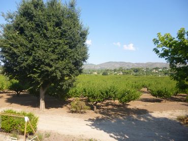 Casa rústica amb balcó en venda a Santa Ana