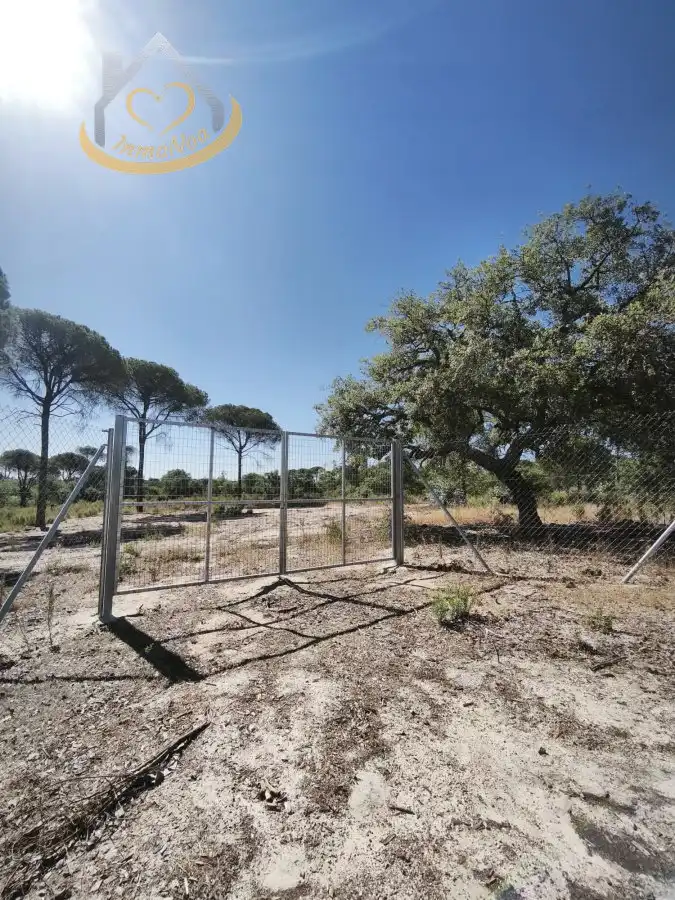 Terreni e lotti in vendita a Moguer, imagen 3