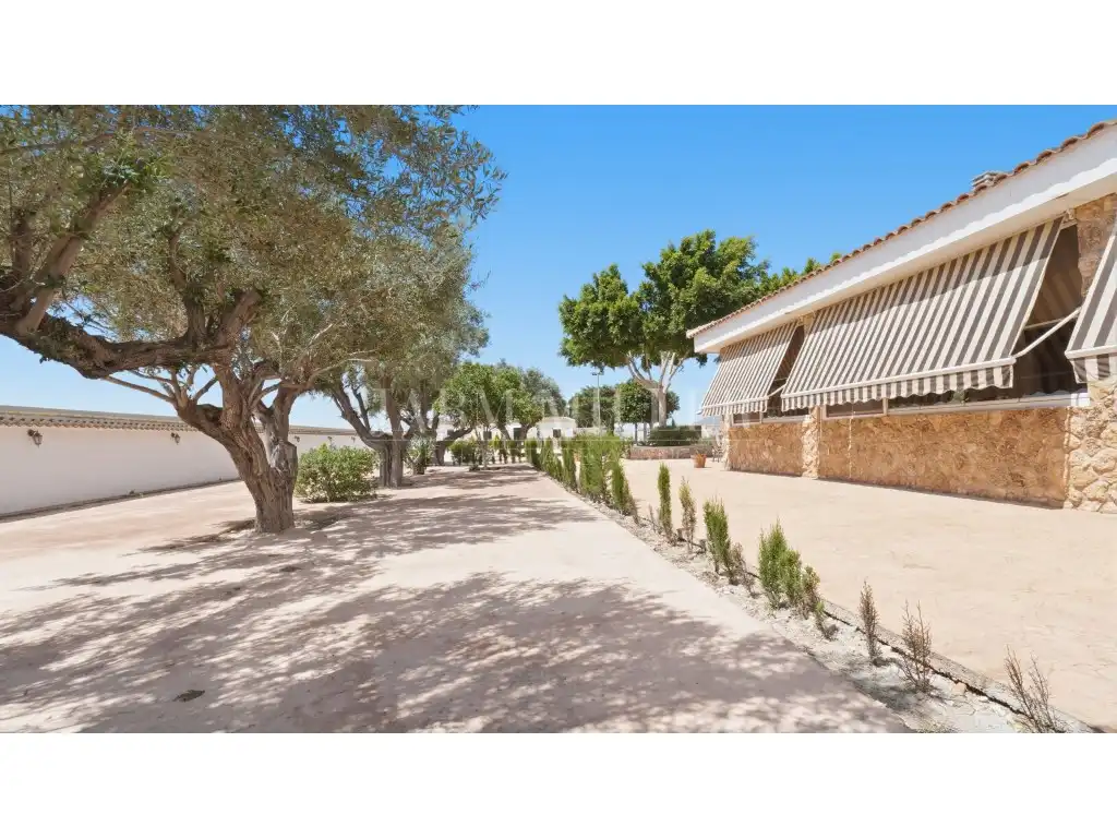 Maison avec jardin à vendre à Dolores, imagen 101