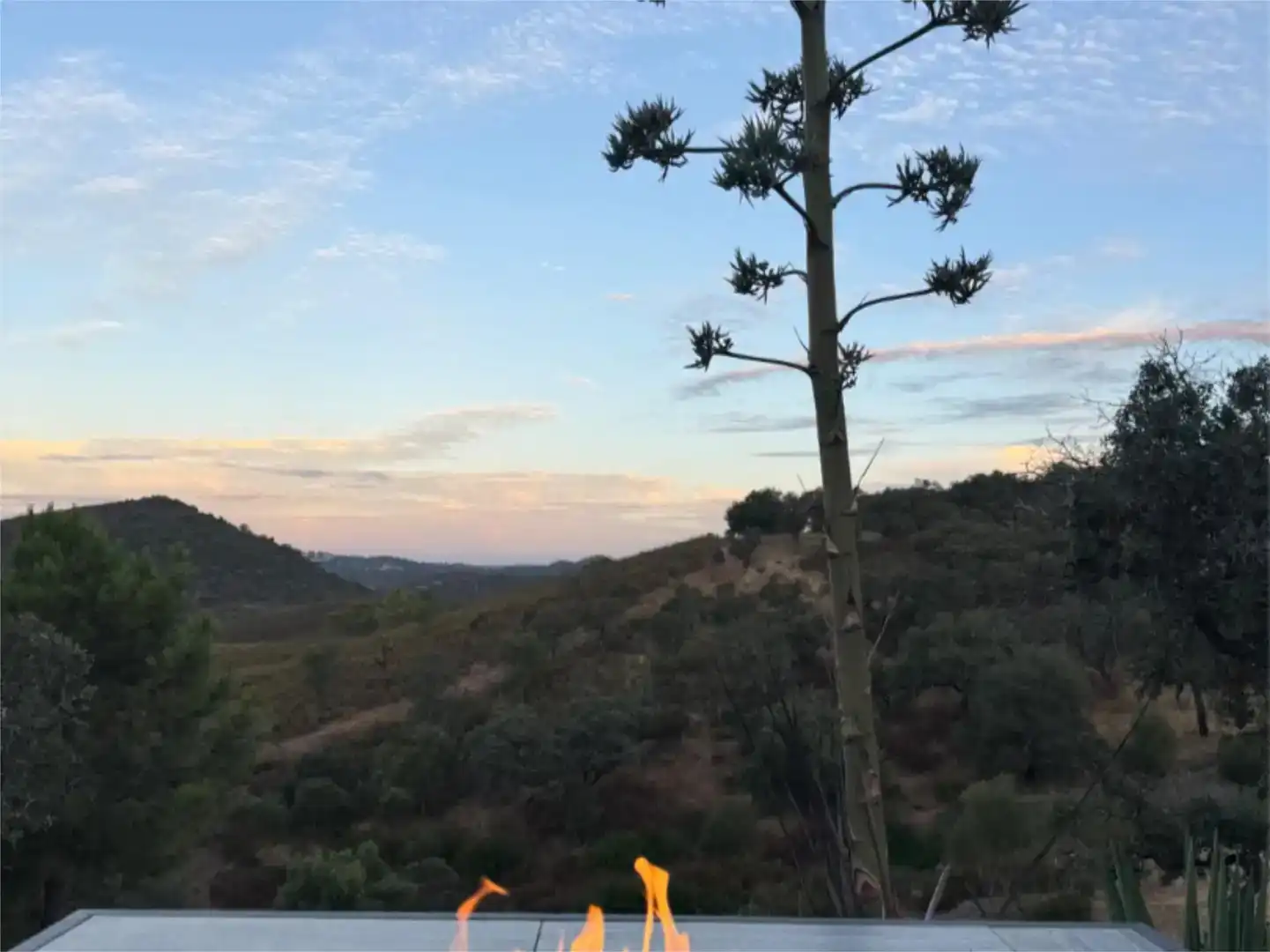 Vista exterior de Finca rústica en venta en El Madroño con Aire acondicionado, Jardín privado y Parquet
