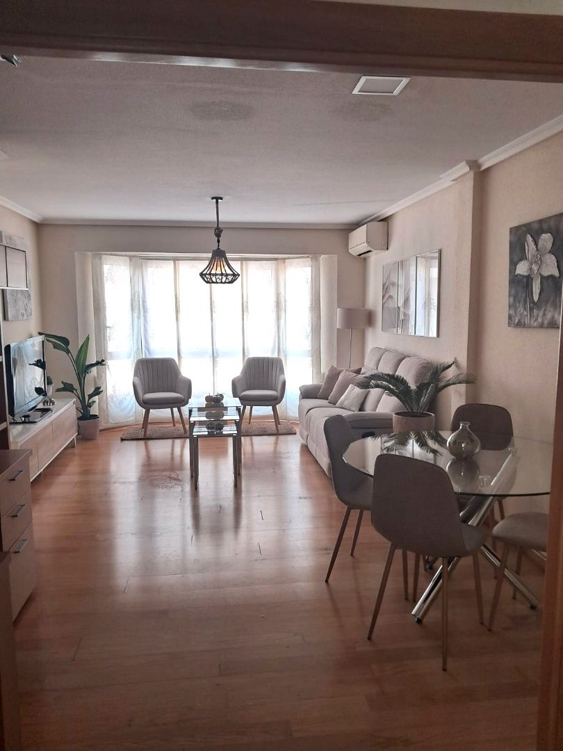 Sala d'estar de Pis de lloguer en Elche / Elx amb Aire condicionat, Parquet i Moblat