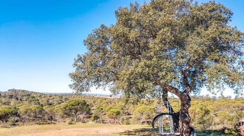 Photo 3 of Country house for sale in Diseminado Fotea, Ayamonte ciudad, Ayamonte