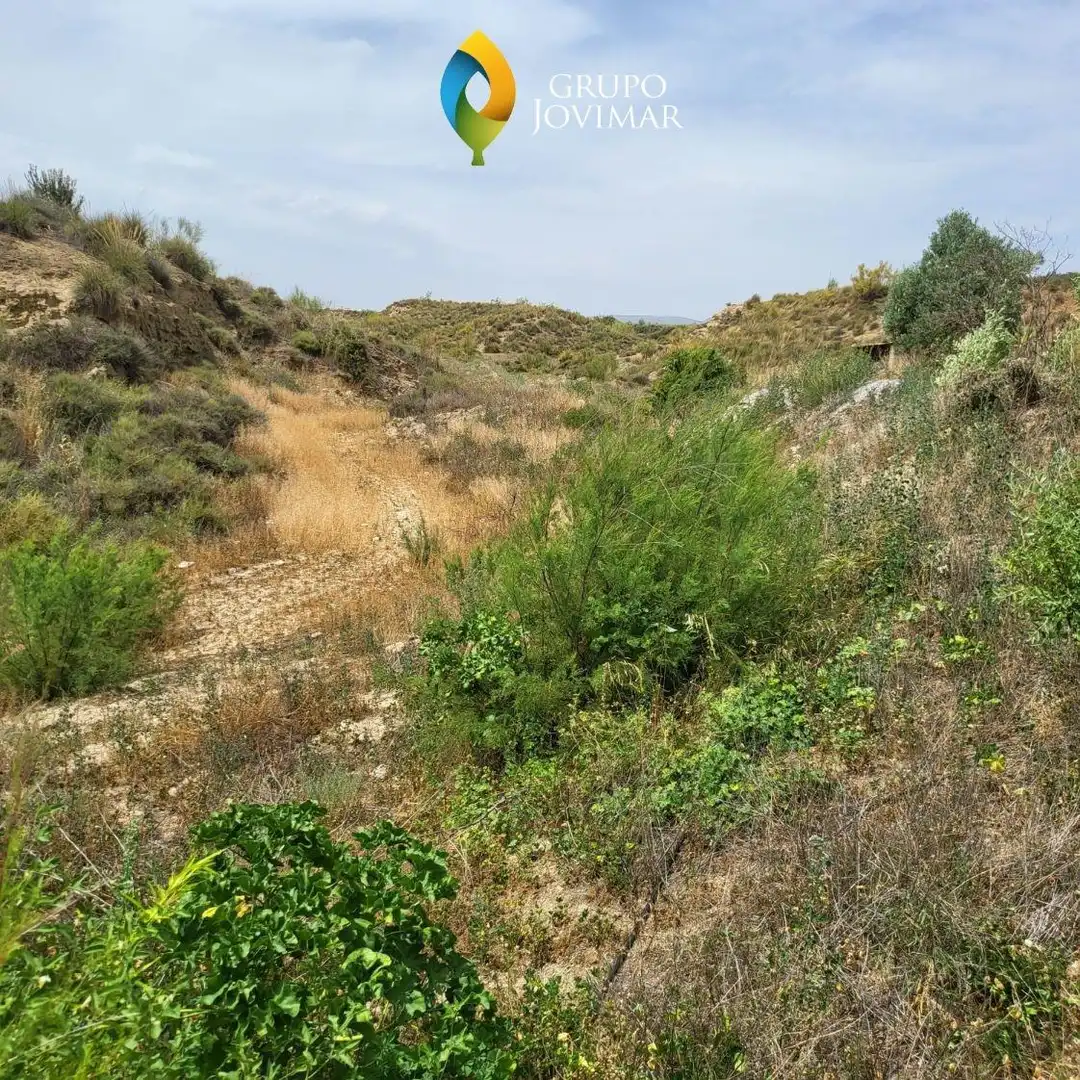 Terreno rustico in vendita a Caniles, imagen 12