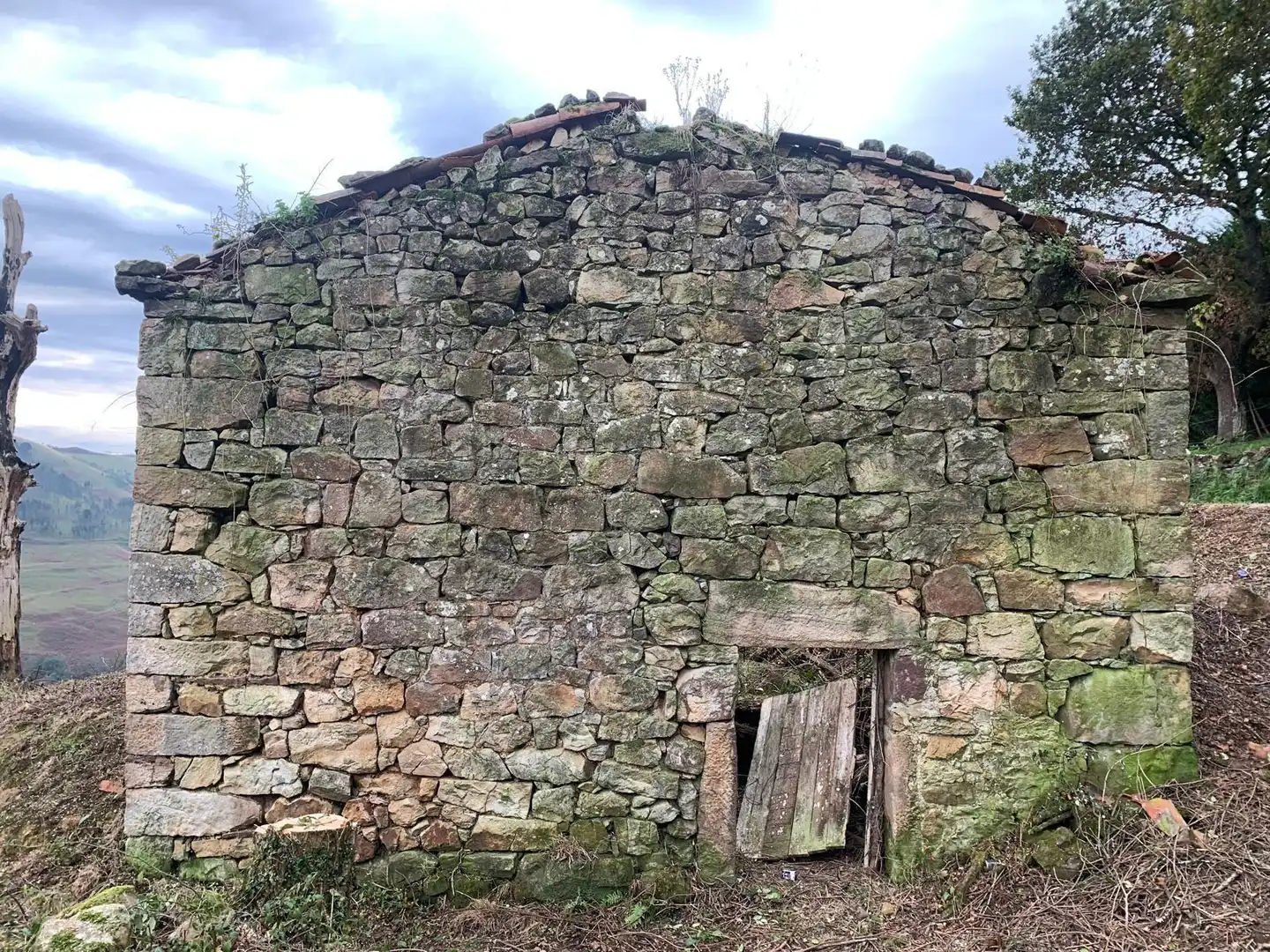 Vista exterior de Casa o chalet en venta en Saro con Jardín privado