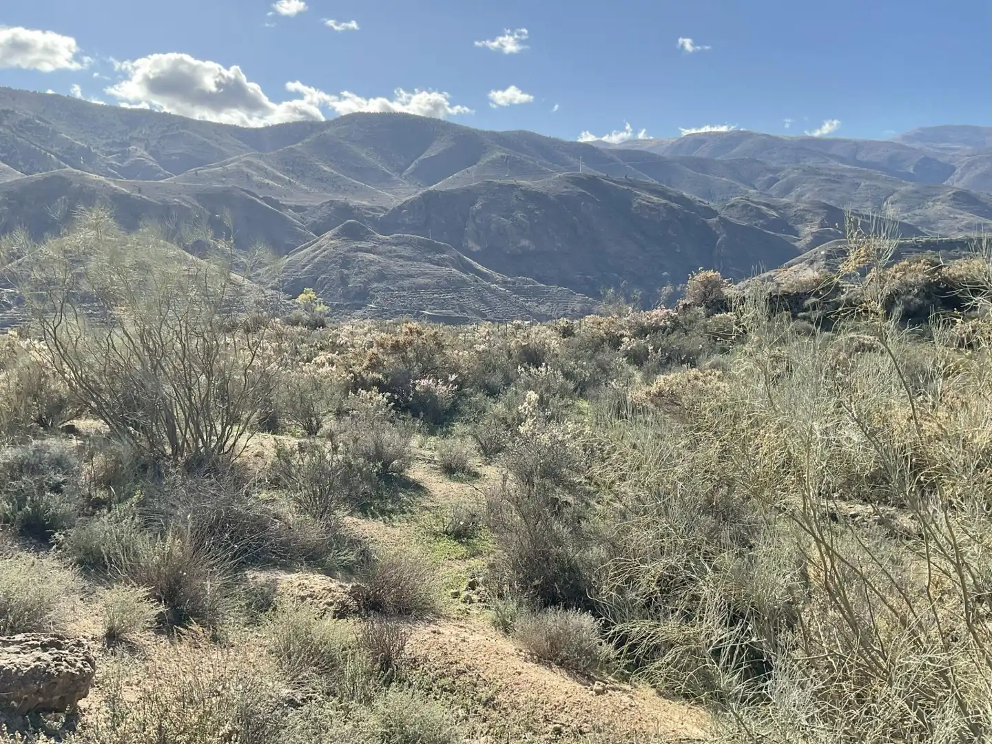 Exterior view of Land for sale in Padules
