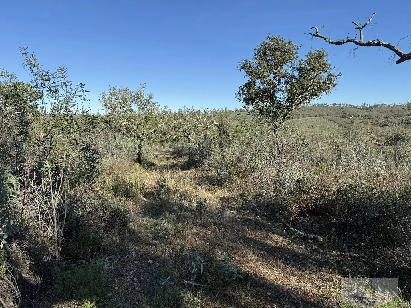 Residencial en venta en Berrocal