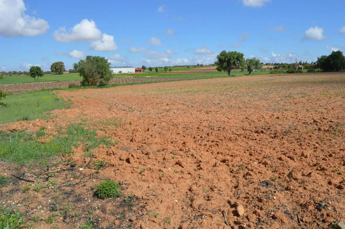 Terreni e lotti in vendita a Tarancón, imagen 4