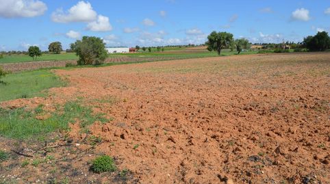Este terreno se encuentra en PARAJE SENDA POZO AMARILLO, 16400, Tarancón, Cuenca. Es un terreno que tiene 9.000 m2 .



Inmobi, immagine 4