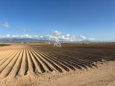 Terreno residencial en venta en Calle Raiguero S/N