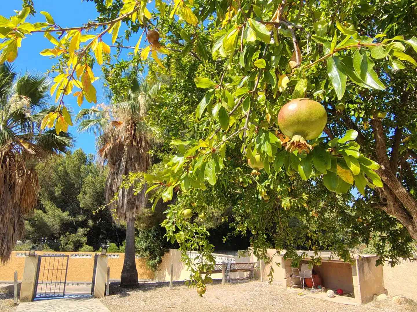 Detached house for sale in Barranco Hondo, imagen 11