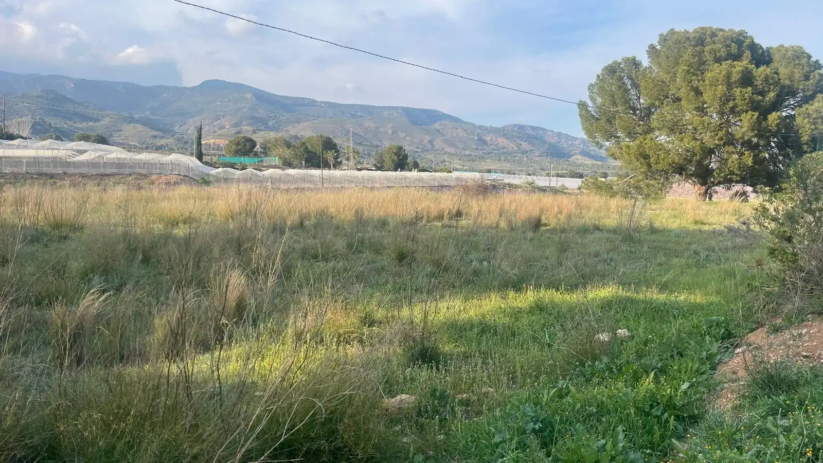 Terreno en venta en Totana