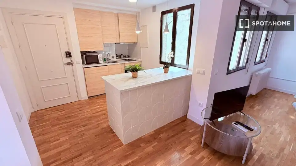 Kitchen of Study for share in Madrid  with Air Conditioner, Heating and Terrace
