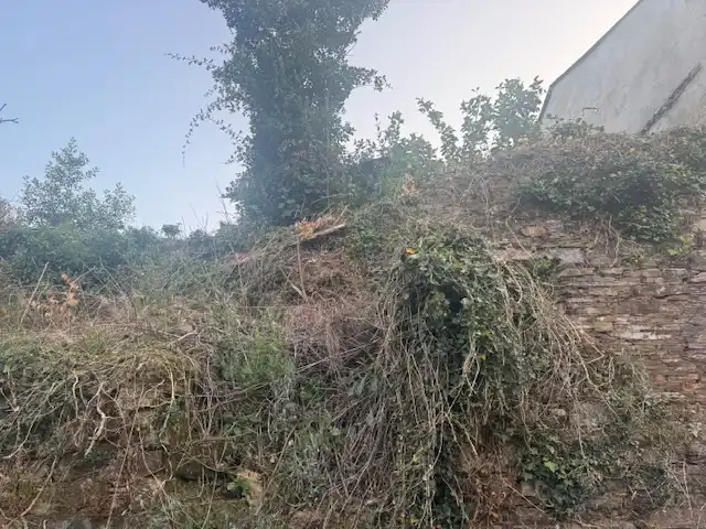 Country homes for sale in San Tirso de Abres