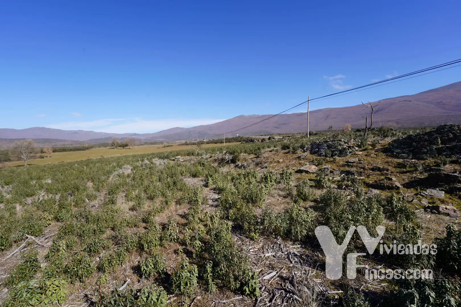 Terreno rústico en venta en Campillo de Ranas, imagen 15