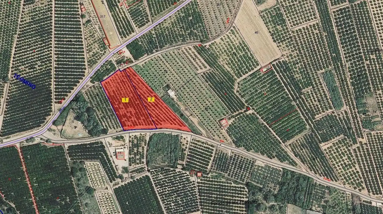 Terreno rustico in vendita a Alcanar, imagen 11