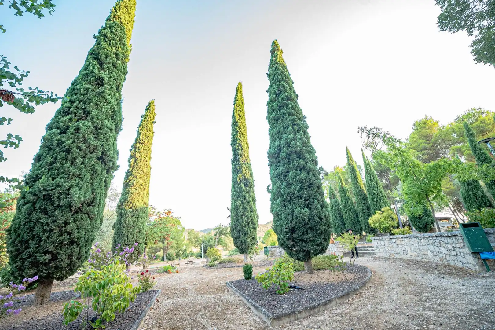 Jardí de Casa o xalet en venda en Nonaspe