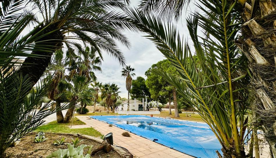 Foto 1 de Casa o xalet en venda a  Cottolengo, Haygon - Universidad, Alicante