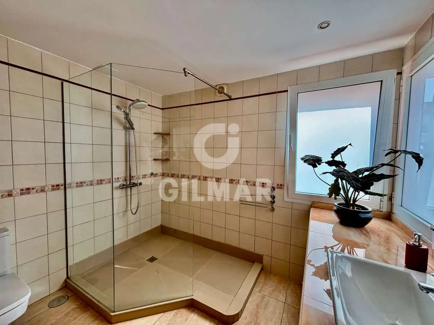Bathroom of Detached homes for sale in Adeje  with Private garden, Terrace and Furnished