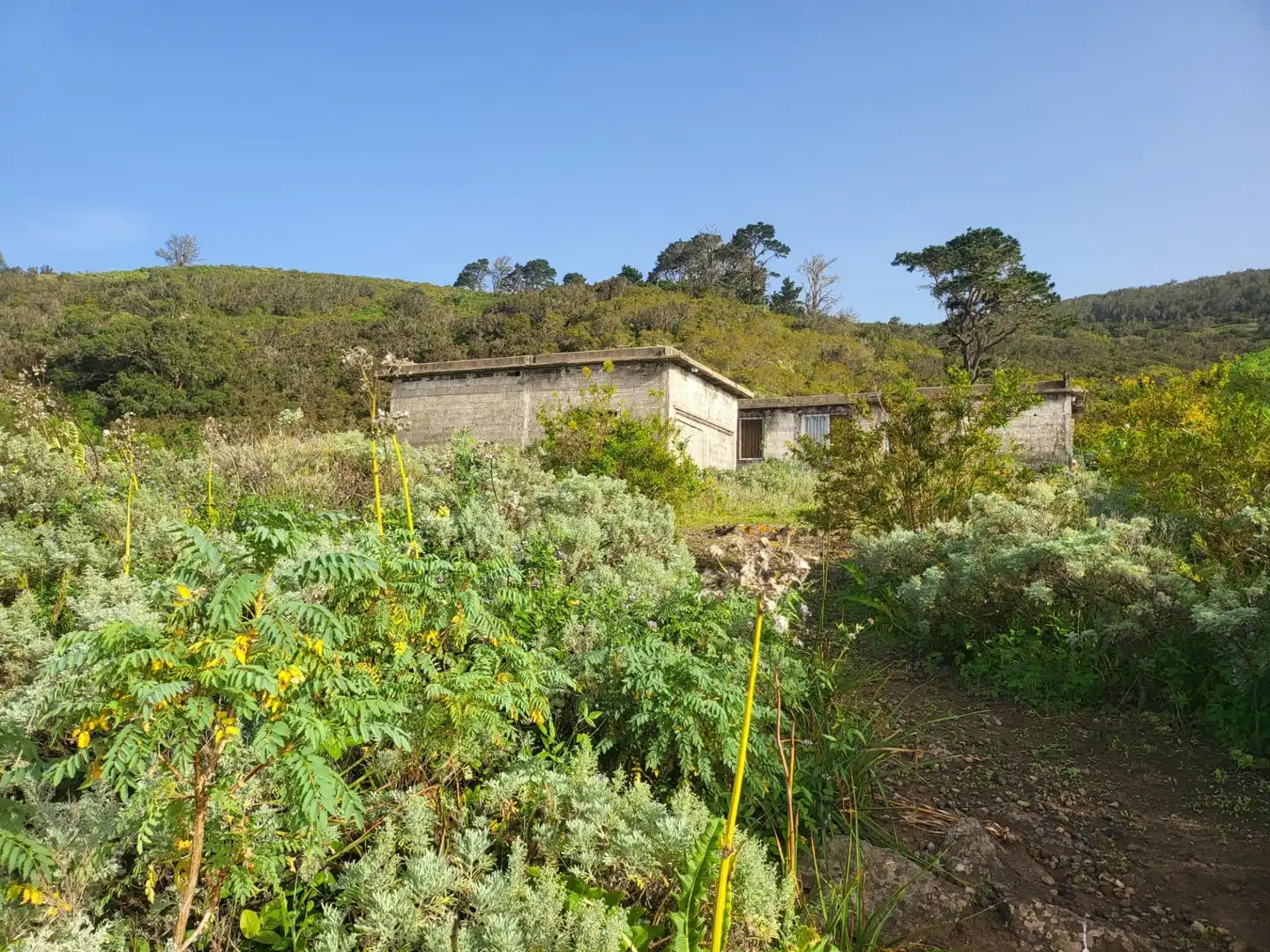 Maison rustique à vendre à Tierra del Trigo