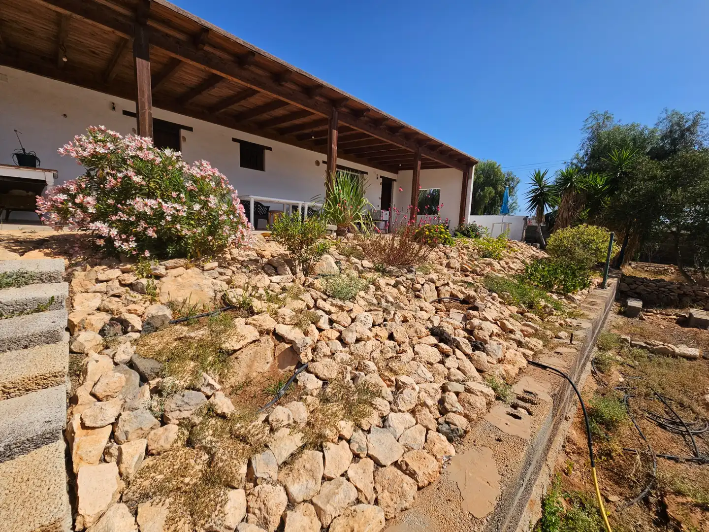 Jardí de Casa o xalet en venda en Tuineje amb Jardí privat, Terrassa i Traster