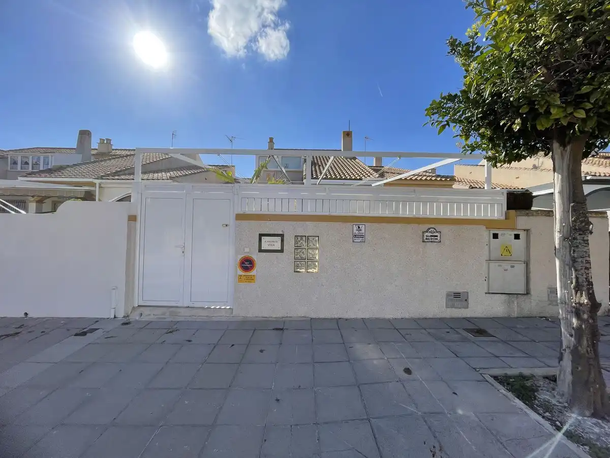 Vista exterior de Casa o xalet en venda en Pilar de la Horadada amb Aire condicionat, Jardí privat i Terrassa
