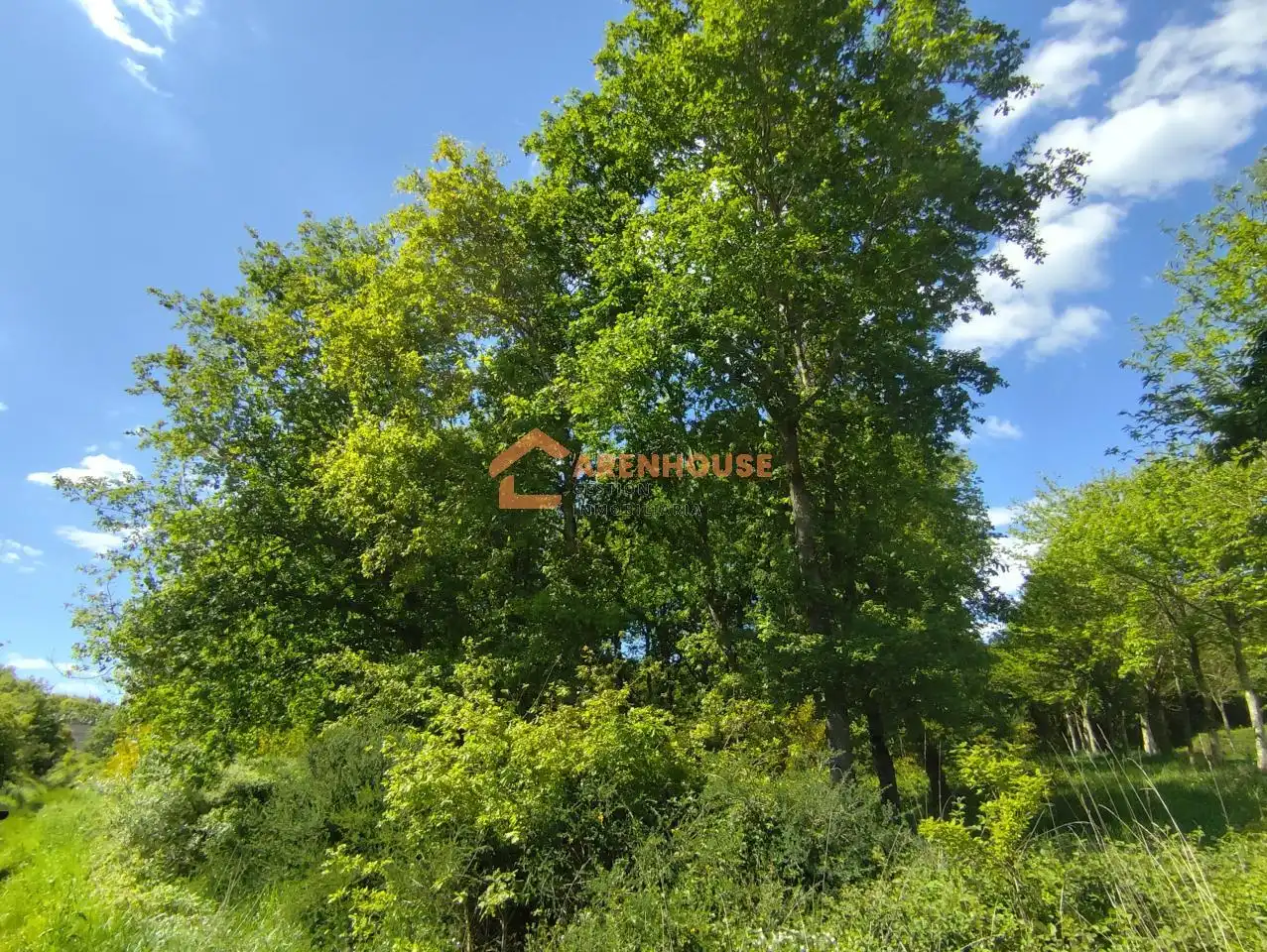 Residencial en venda en Baños de Molgas