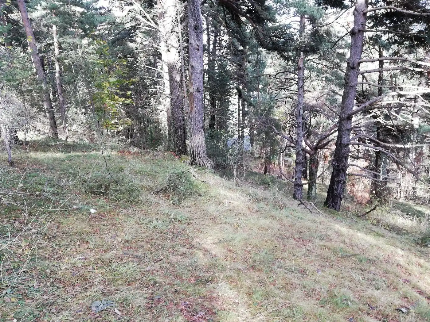 Wohnbaugrundstück zum Verkauf in Avinguda de la Molina 142, imagen 7