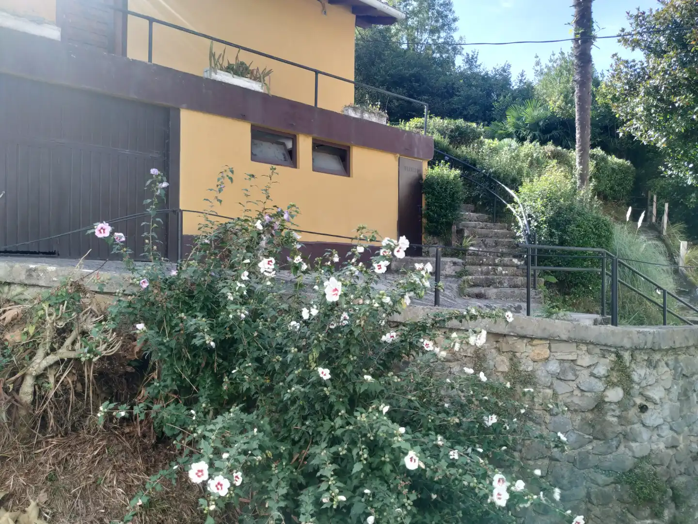 Exterior view of Flat for sale in Aiete