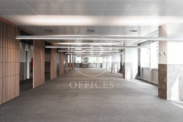 Oficina en Alquiler en Hostafrancs