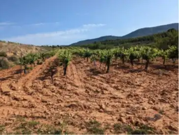 Terrain rustique à vendre à Requena, imagen 14