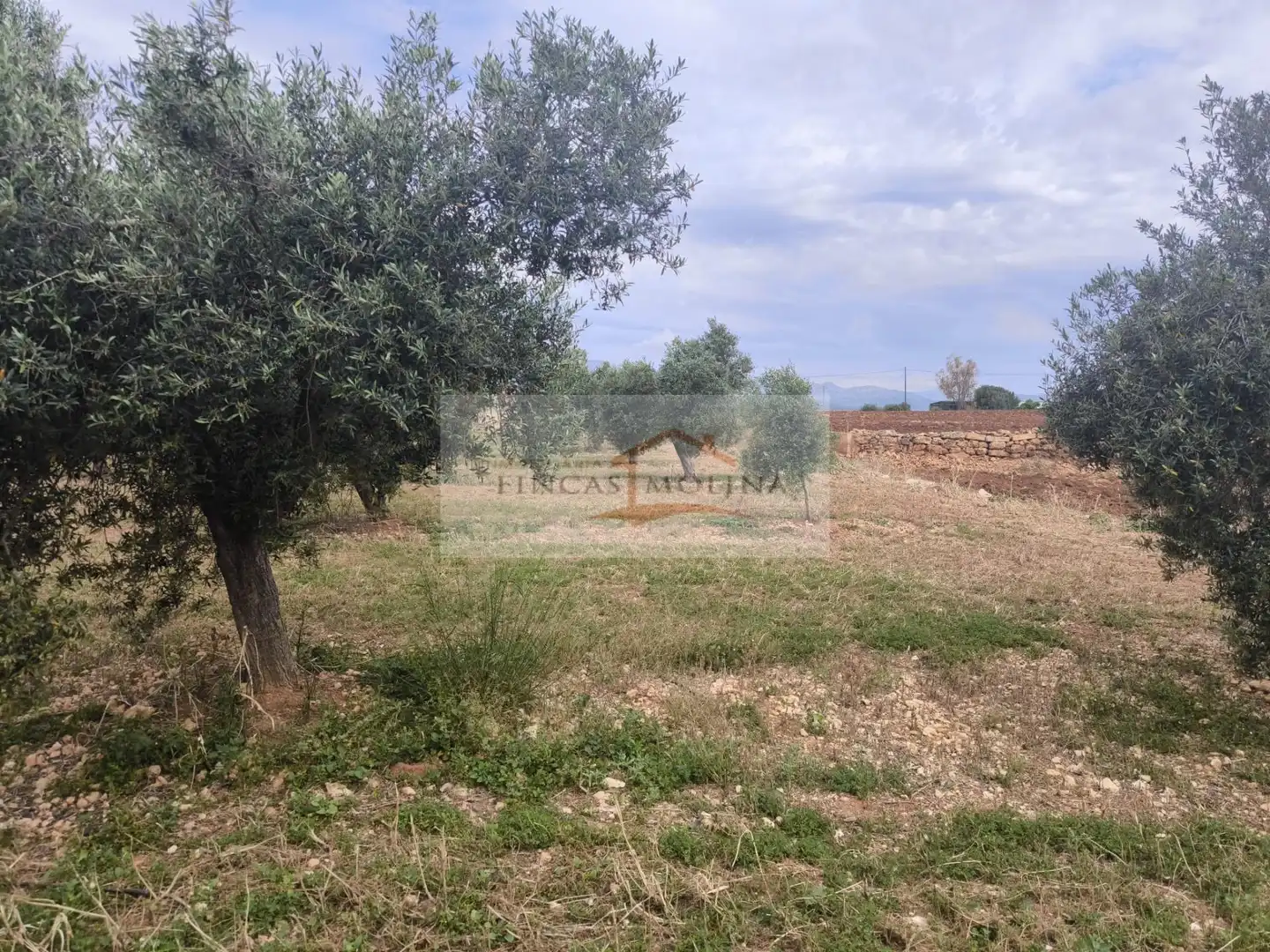 Terrenys i solars en venda a Sa Pobla, imagen 17