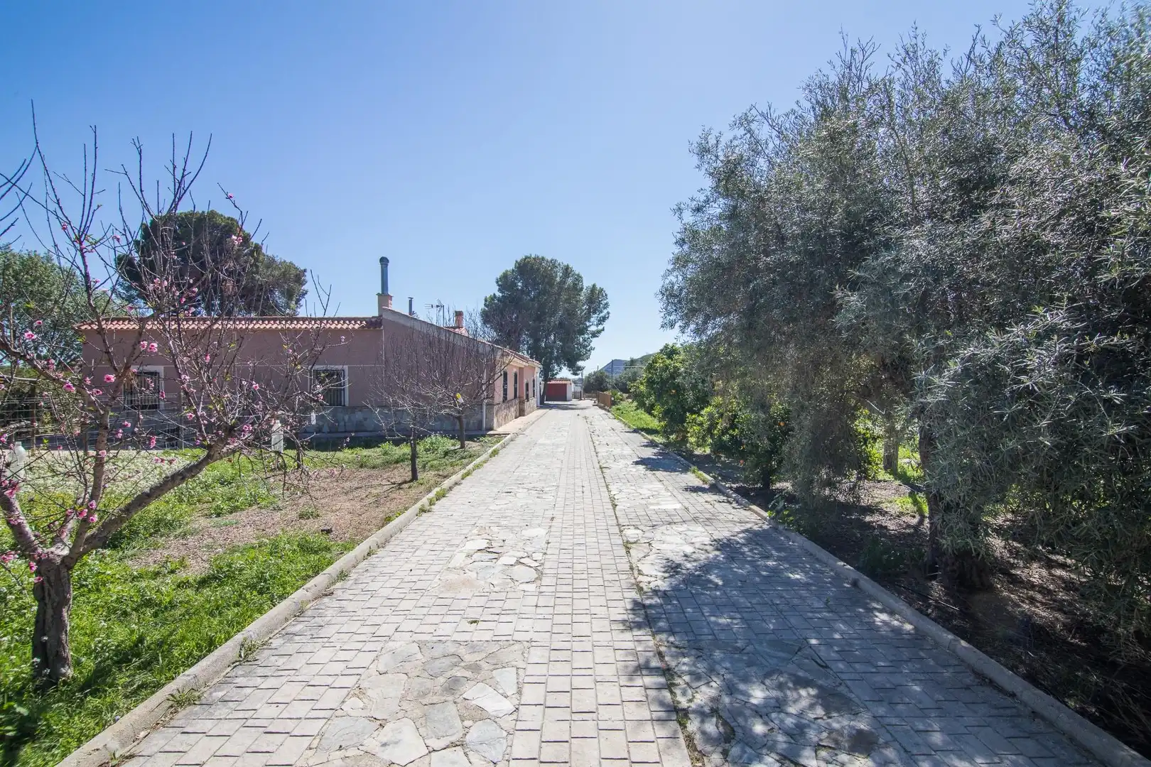 Vista exterior de Casa o chalet en venta en Redován con Jardín privado, Terraza y Piscina