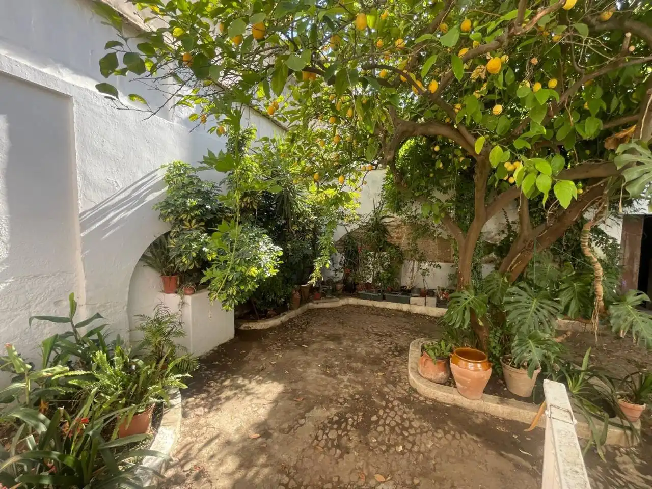 Jardín de Casa o chalet en venta en Don Benito con Aire acondicionado, Calefacción y Jardín privado