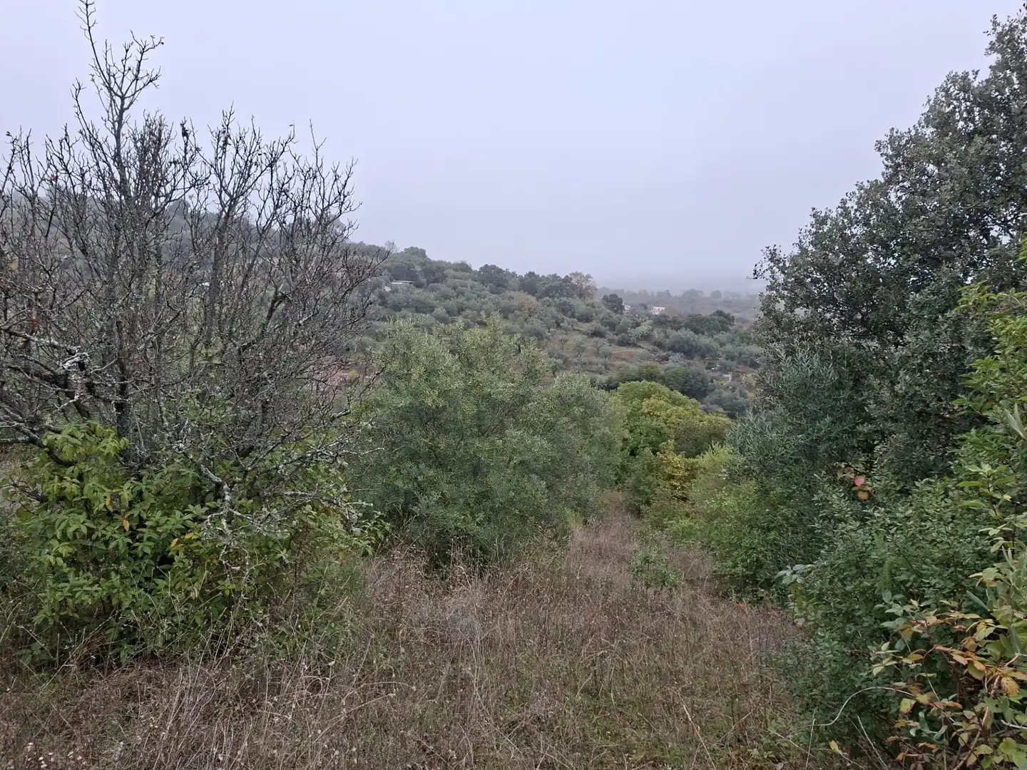 Terreni e lotti in vendita a Malpartida de Plasencia, imagen 12