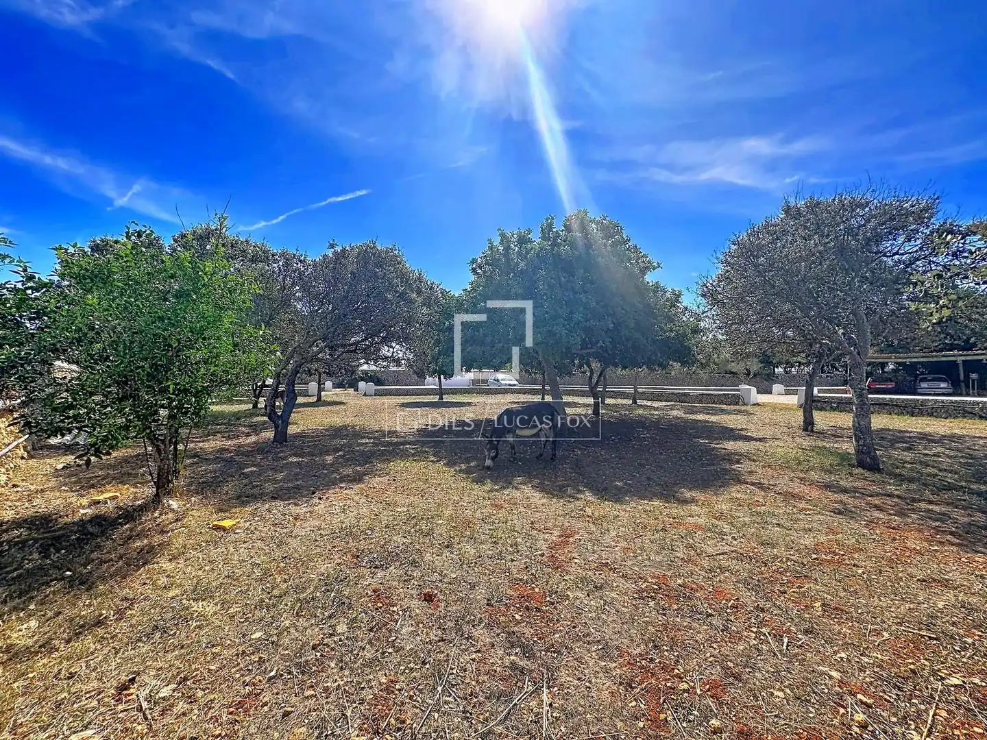 Maison rustique avec terrasse à vendre à Es Castell poble, imagen 54