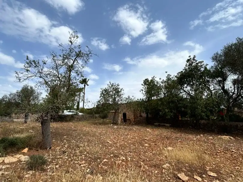 Terreny en venda en Santanyí