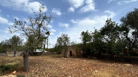 Foto 4 de Terreny en venda a Diseminado Poligono 9, 55, S'Alquería Blanca - Calonge, Santanyí
