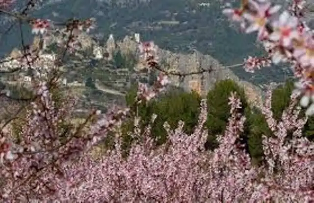 Exterior view of Land for sale in El Castell de Guadalest