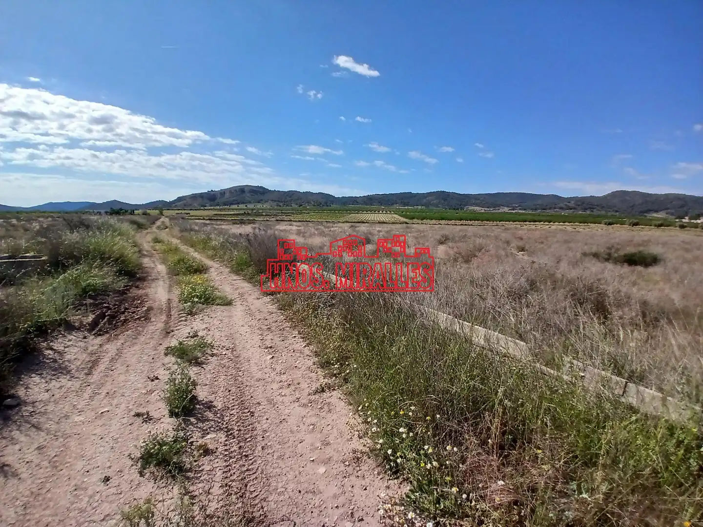 Terrenys i solars en venda a Abanilla, imagen 5