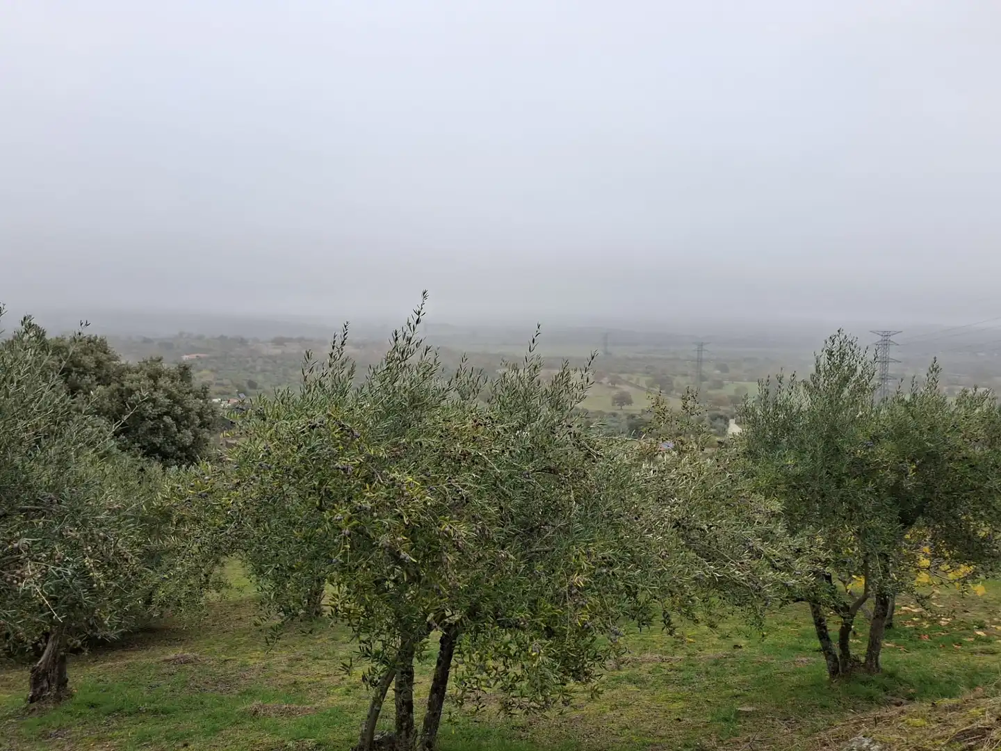 Terreni e lotti in vendita a Malpartida de Plasencia, imagen 3