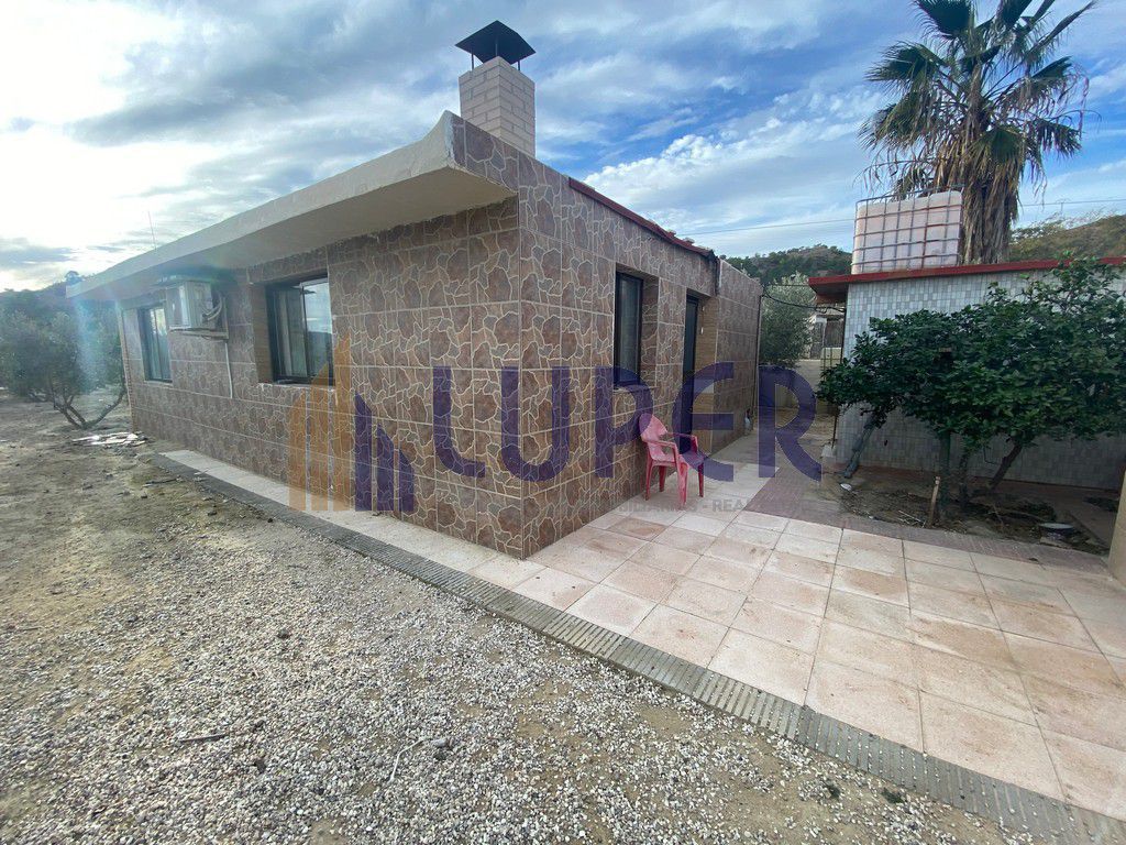 Vista exterior de Finca rústica en venda en Alicante / Alacant