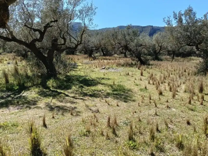 Finca rústica en venda en Roquetes