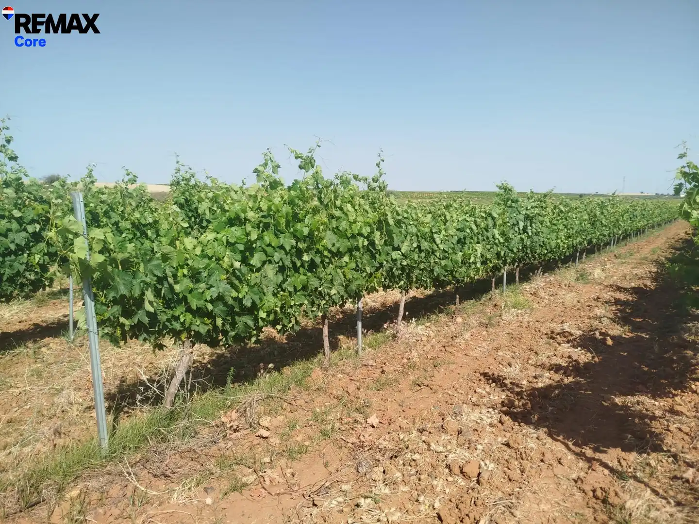 Terreni e lotti in vendita a Carretera de Sevilla - Los Montitos, imagen 4