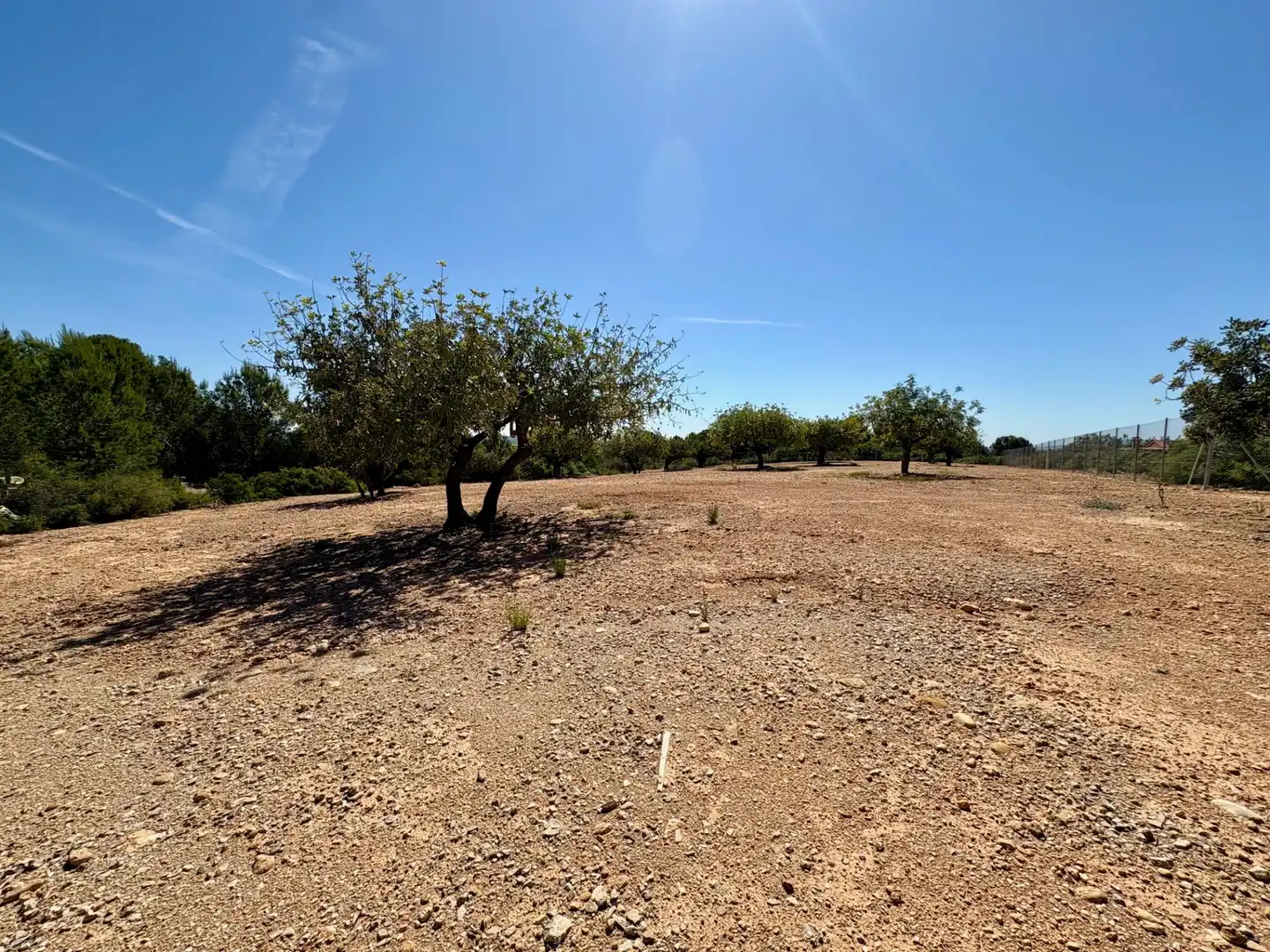 Casa o xalet en venda en Cheste amb Aire condicionat, Calefacció i Jardí privat