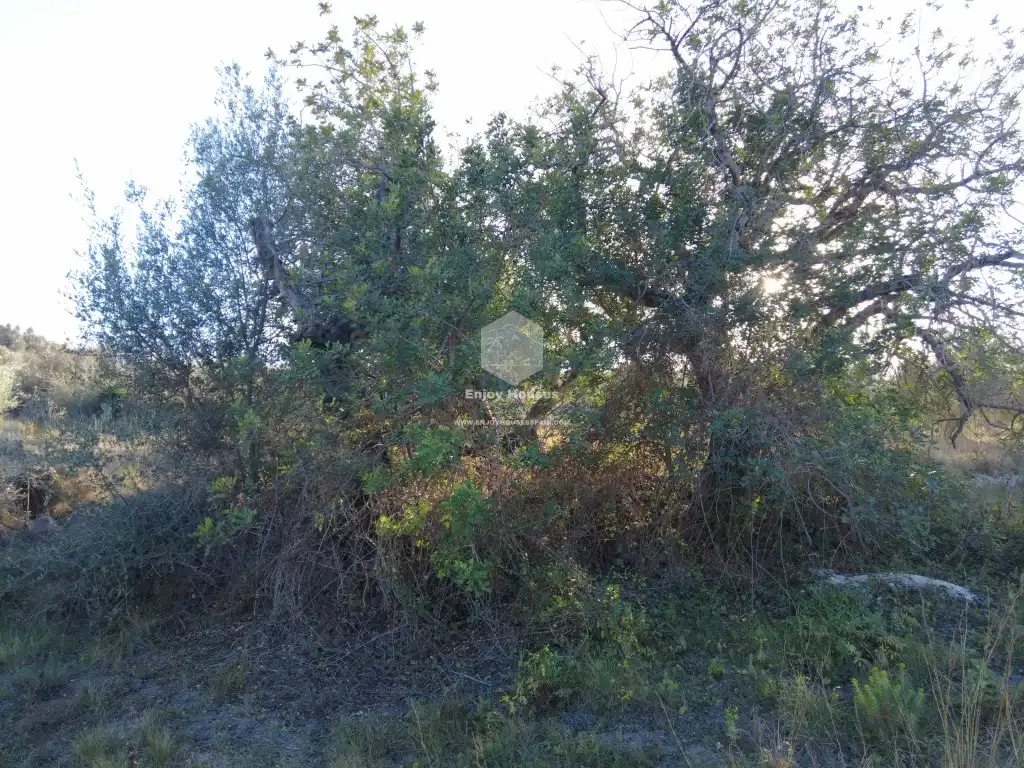 Finca rústica en venta en Partides comunes - Adsubia