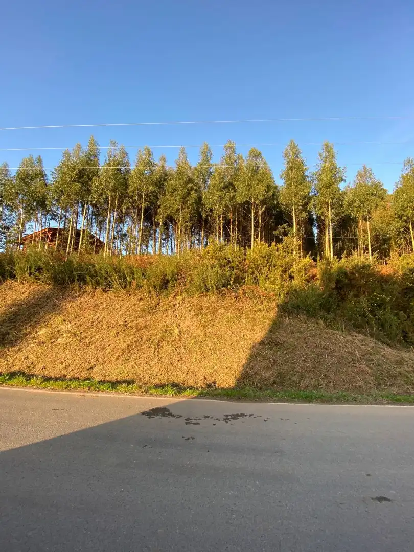Wohnbaugrundstück zum Verkauf in Vilar, imagen 6