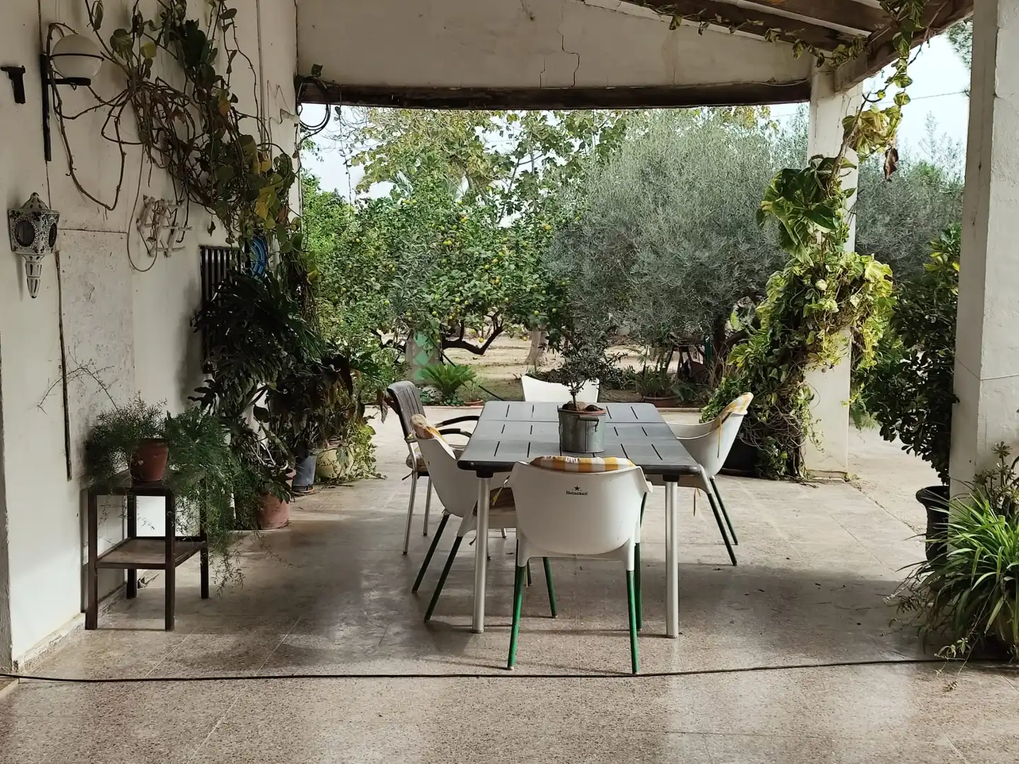 Terrassa de Casa o xalet en venda en Elche / Elx amb Jardí privat i Moblat